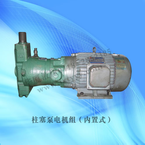 柱塞泵電機組（內(nèi)置型）